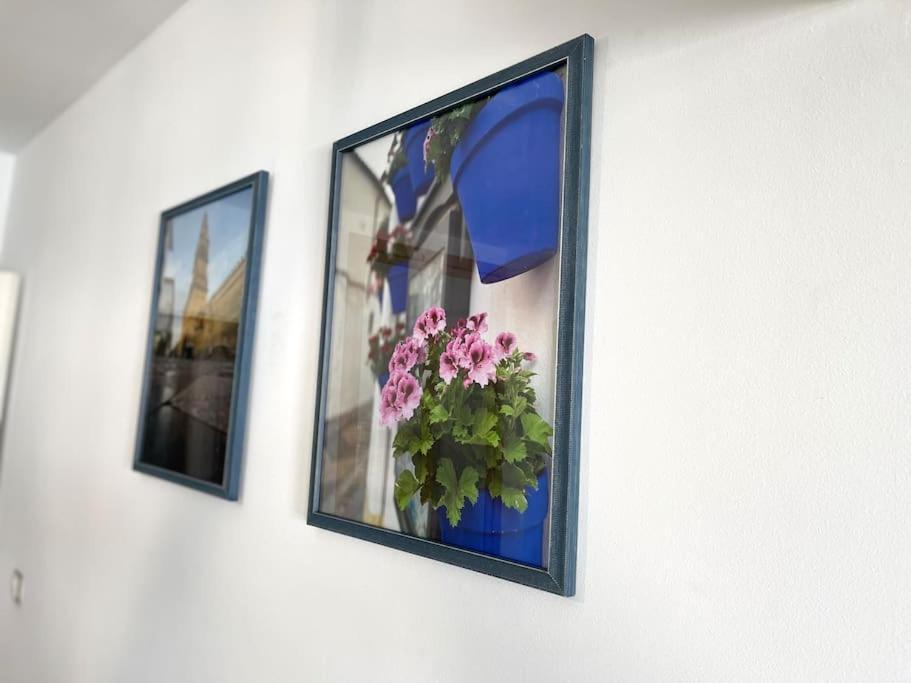 Apartamento Centrico Urbano Con Terraza Córdoba Exteriör bild